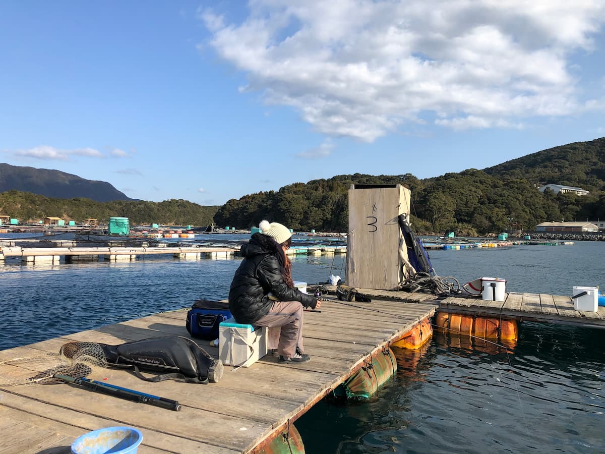 龍ヶ岳観光の筏の写真