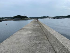 樋合新港の写真