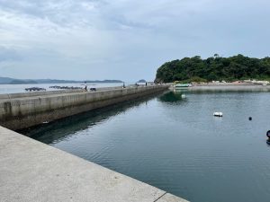 樋合新港の写真