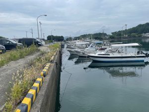 小瀬戸港の写真