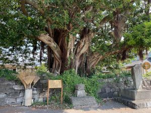 島子漁港07の写真