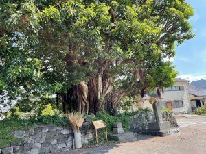 島子漁港08の写真