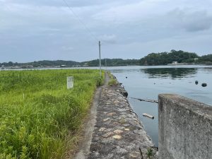 天草・大矢野島「柳港」の写真